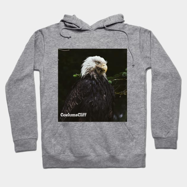 Eagle Hoodie by Oregon Art Shop